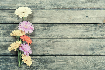 Gerbera Flowers on Wooden Background