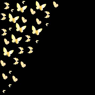 Gold butterfly on black background. Vector illustration.