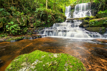 Fototapeta na wymiar beautiful waterfall in green forest in jungle at phu tub berk mountain