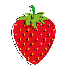 Obraz premium strawberries fresh fruit icon vector illustration design
