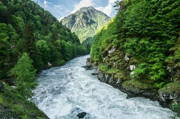 Fototapete Fluss Der Gebirgsfluss fließt zwischen den Wäldern der Felsen. Berglandschaft..