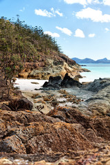 Fototapeta na wymiar in australia the beach island the tree and rocks