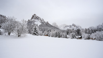 paesaggio invernale in Val Canali, nel parco naturale di Paneveggio - Trentino