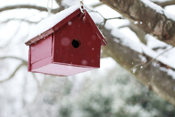 Red Wooden Bird House hanging from a tree branch in the falling Snow.
