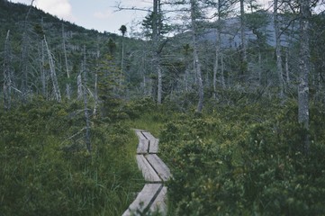 lonesome lake New Hampshire 
