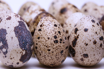 quail egg on a white