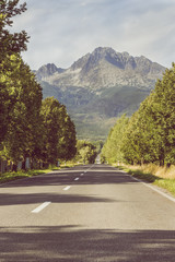 Fototapeta na wymiar Droga w stronę gór. Podróż drogą wśród drzew, prowadzącą w wysokie góry. Krajobraz Słowackich Tatr.