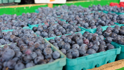 Fresh Farmers Market Blueberries