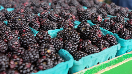 Fresh Organic Blackberries At Farmers Market