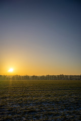 Sonnenschein