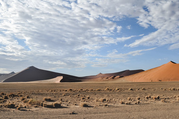 Fototapeta na wymiar Desert Shapes 