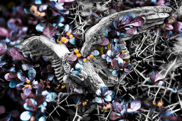 a bird that sits in a bush with spiny flowers