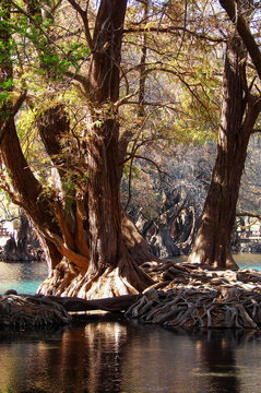 Lago de Cam&eacute;cuaro 6