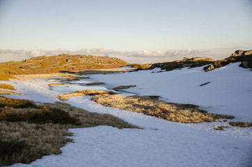 Neve