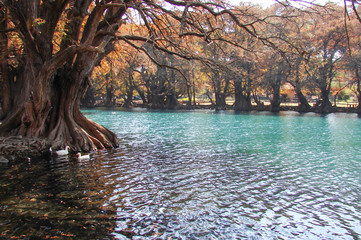 Lago de Camécuaro 3