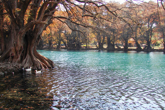 Lago de Cam&eacute;cuaro 3
