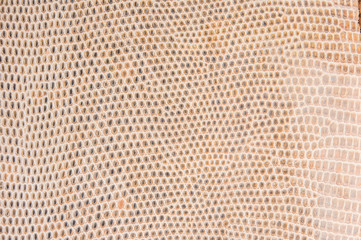 Fototapeta premium texture on the leather hand bag
