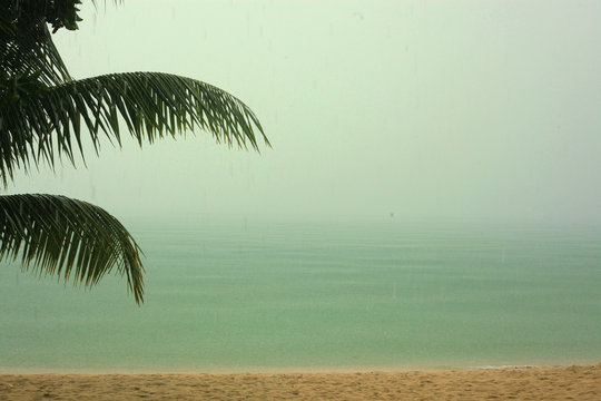 Tropical rain