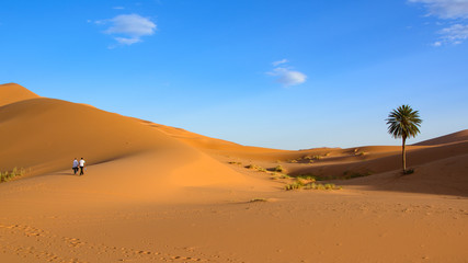 Sahara Desert, Erg Chebi dunes. Merzouga, Morocco