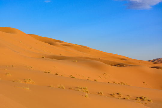 Sahara Desert, Erg Chebi dunes. Merzouga, Morocco © TOP67