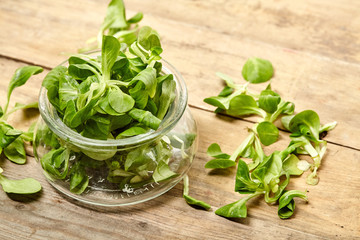 Fresh leaf spinach on background. Close Up view.
