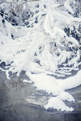 Fototapeta na wymiar Trees covered with snow. Winter landscape.