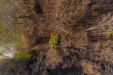 Schneelose Landschaft in der Wintersonne