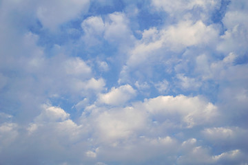 The sky in the morning, the concept of fresh morning or the idea of ​​increasing business.