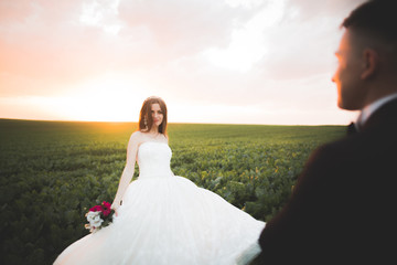 Beautiful bride posing on her wedding day in park