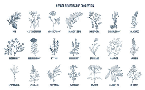 Collection of natural herbs for congestion