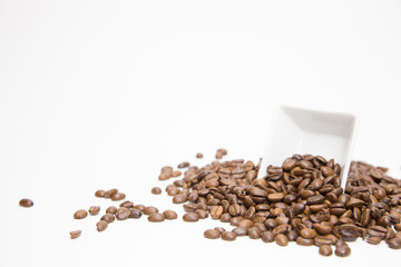 Coffee beans with white small dish on white background, Isolated.