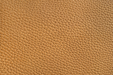 Abstract texture. Brown skin. Background