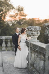 Amazing happy gentle stylish beautiful romantic caucasian couple on the background ancient baroque castle