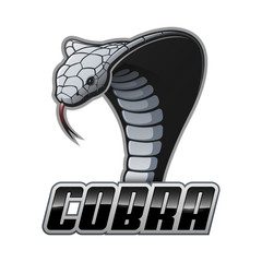 Naklejka premium Cobra
