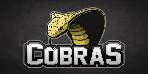 Modern professional cobra logo for a sport team