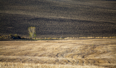 Fototapeta premium Tuscany - Landscape panorama, hills and meadow