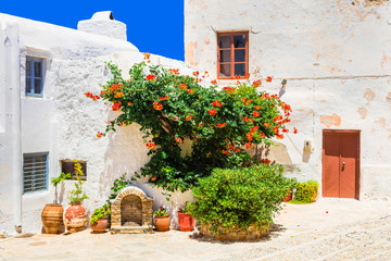 Charming floral streets of old town in Naxos island. Greece