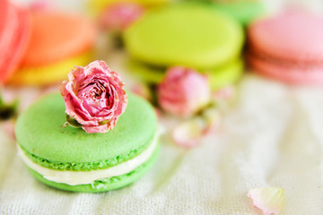 Obraz na płótnie Canvas Delicate Fresh Colorful French Macaroons In Pastel Colors With Flowers Roses On A Light Textile Background