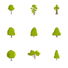 Timber icons set. Cartoon set of 9 timber vector icons for web isolated on white background