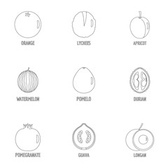 Orchard icons set. Outline set of 9 orchard vector icons for web isolated on white background