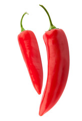 chili pepper isolated
