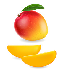 Realistic ripe mango with mango slice.