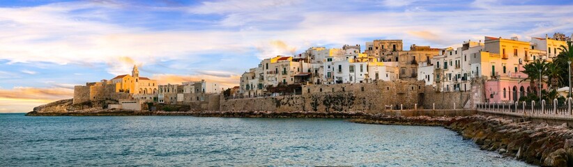 Fototapeta na wymiar Beautiful places for Italian holidays - Vieste in Puglia