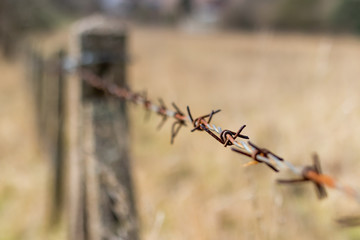 Barbed Wire Close Up