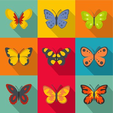 Types of butterflies icons set. flat set of 9 types of butterflies vector icons for web isolated on white background