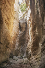 Avakas canyon. Akamas Peninsula. Cyprus landscape