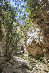 Path to  Avakas canyon. Akamas Peninsula landscape. Cyprus