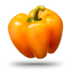 Single sweet yellow bell pepper isolated on white background with clipping path and shiny reflections