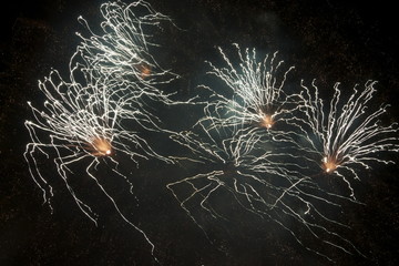 Spider Fireworks 