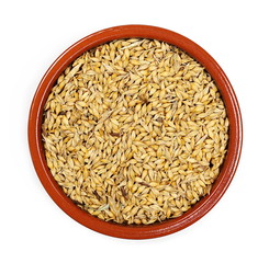 barley in clay pot isolated on white background